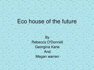 Eco house of the future