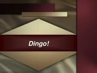 Dingo!