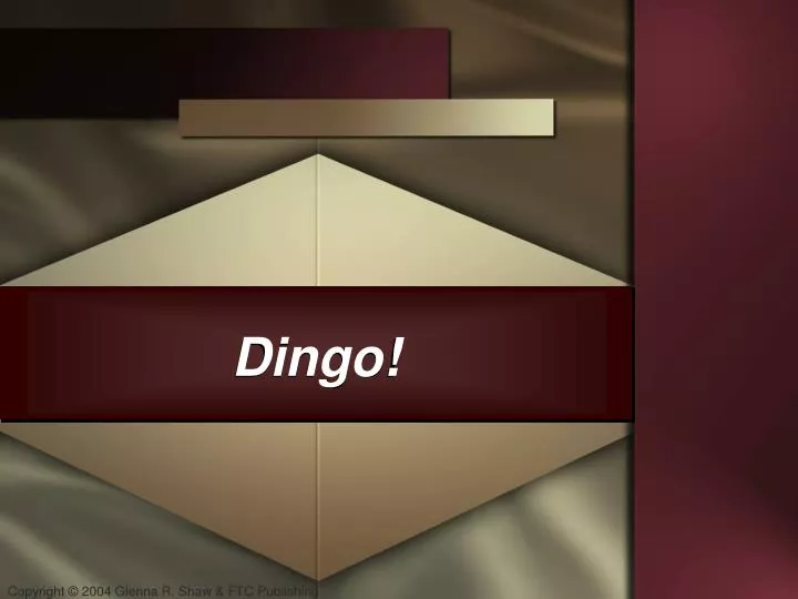 dingo