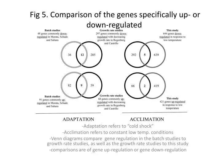 fig 5 comparison of the genes specifically up or down regulated
