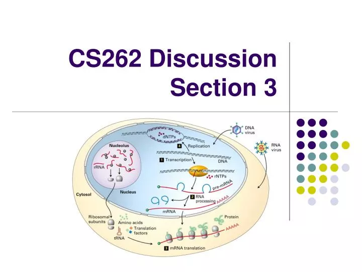 cs262 discussion section 3