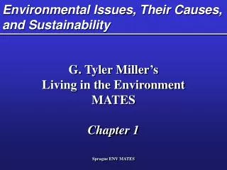 Environmental Issues, Their Causes, and Sustainability