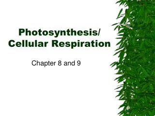Photosynthesis/ Cellular Respiration