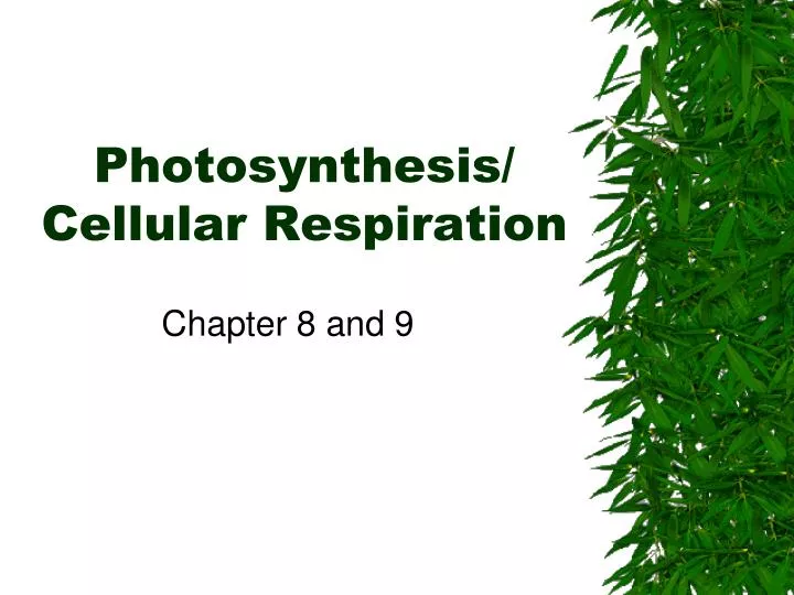 photosynthesis cellular respiration
