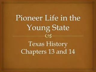 Pioneer Life in the Young State