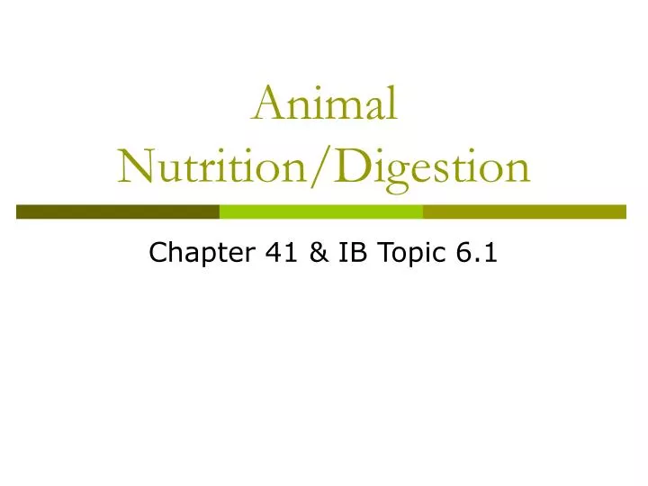 animal nutrition digestion