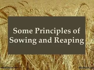 Some Principles of Sowing and Reaping