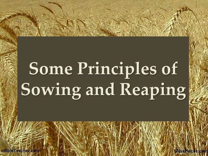 some principles of sowing and reaping