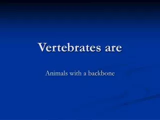 Vertebrates are