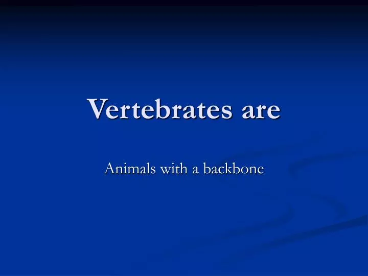 vertebrates are