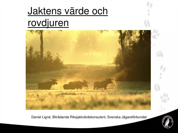 jaktens v rde och rovdjuren