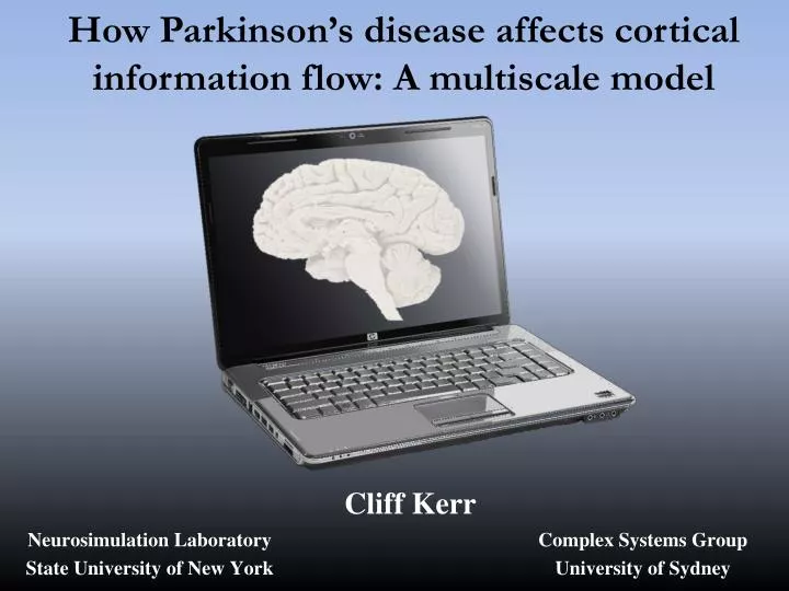 how parkinson s disease affects cortical information flow a multiscale model