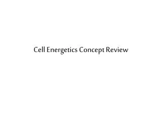 Cell Energetics Concept Review