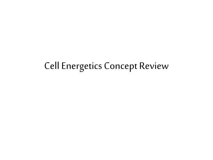 cell energetics concept review