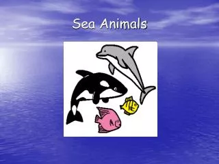 sea animals