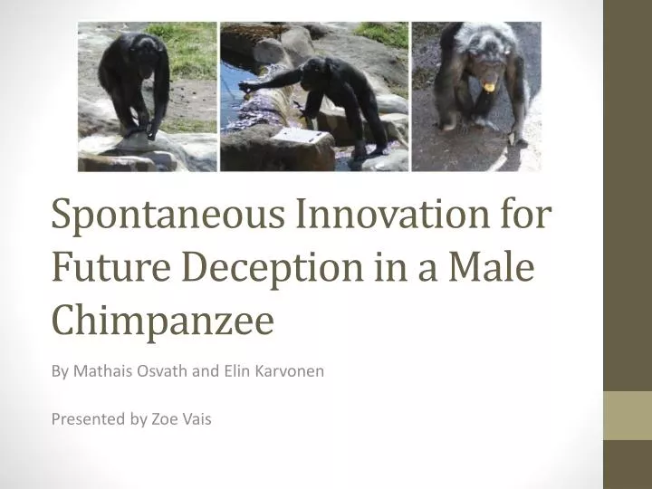 spontaneous innovation for future deception in a male chimpanzee