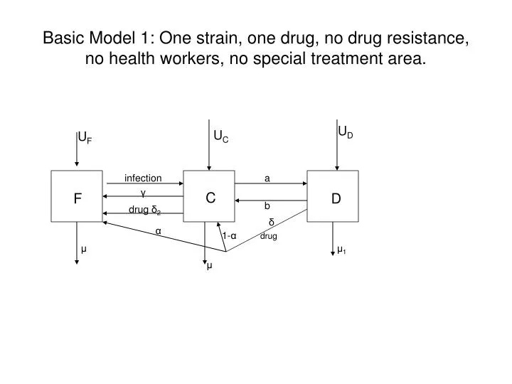 basic model 1 one strain one drug no drug resistance no health workers no special treatment area