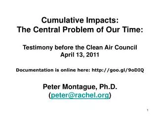 Cumulative Impacts: The Central Problem of Our Time: Testimony before the Clean Air Council