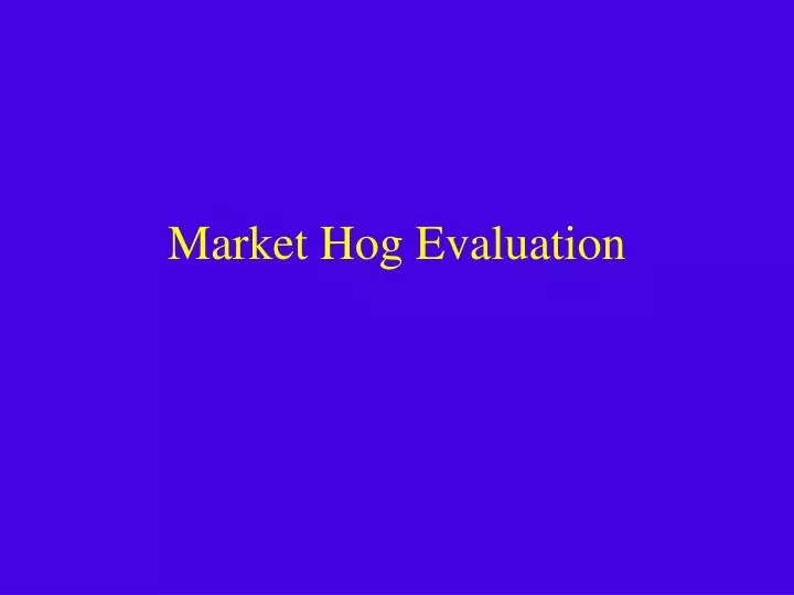 market hog evaluation