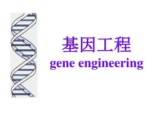 gene engineering