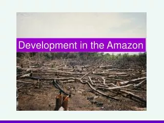 Development in the Amazon