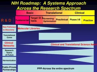 Basic 		Translational 		Clinical