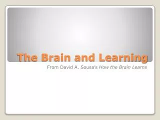 The Brain and Learning