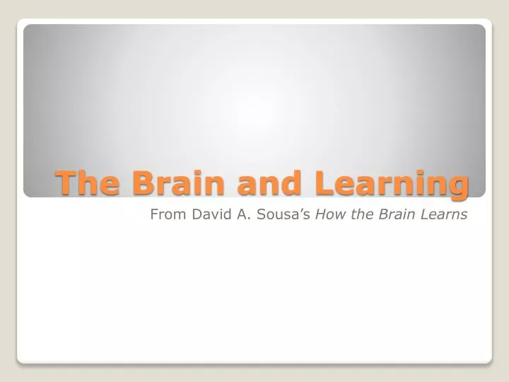 the brain and learning