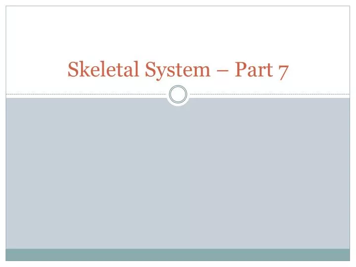 skeletal system part 7