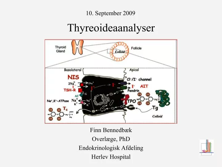 thyreoideaanalyser