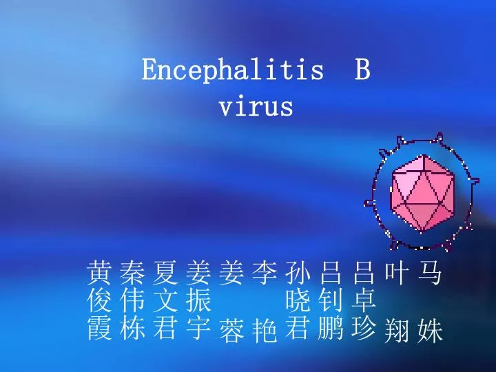 encephalitis b virus