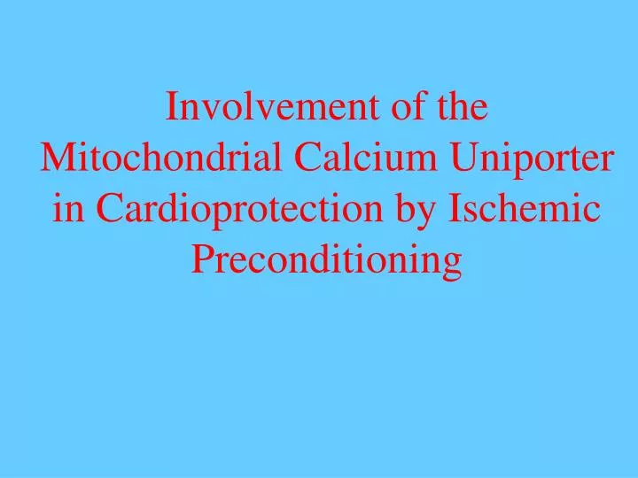 involvement of the mitochondrial calcium uniporter in cardioprotection by ischemic preconditioning