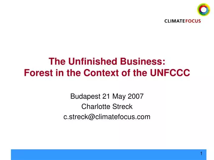 the unfinished business forest in the context of the unfccc