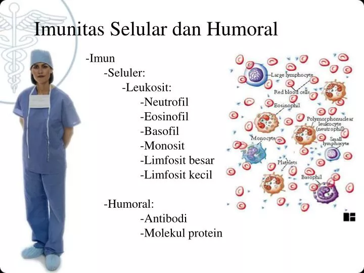 imunitas se lular dan humoral