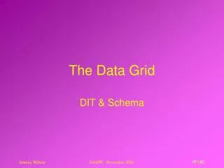 The Data Grid