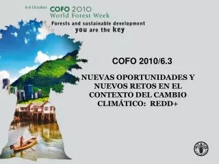 cofo 2010 6 3