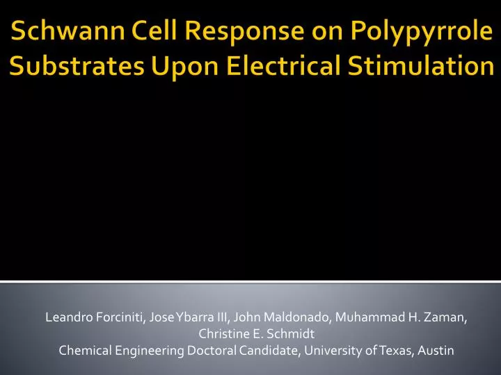 schwann cell response on polypyrrole substrates upon electrical stimulation