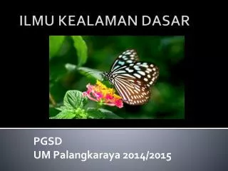 pgsd um palangkaraya 2014 2015