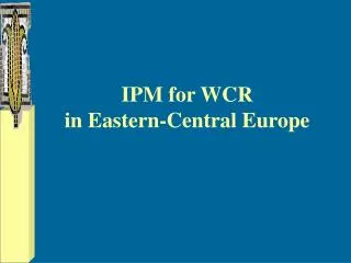 IPM for WCR in Eastern-Central Europe