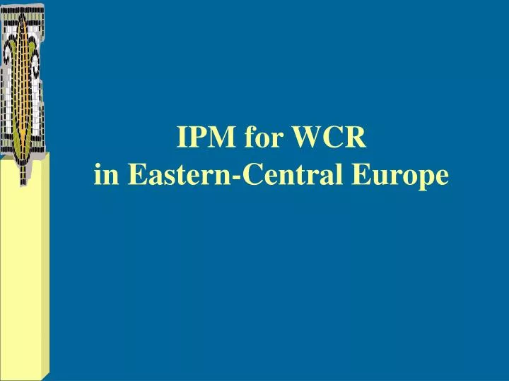 ipm for wcr in eastern central europe