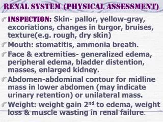 Renal system (physical assessment)