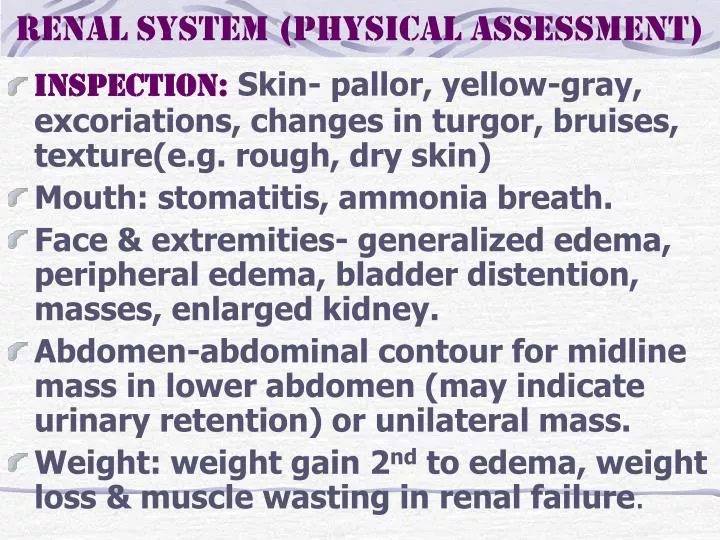 renal system physical assessment
