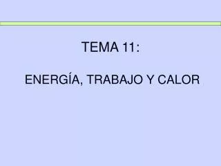tema 11