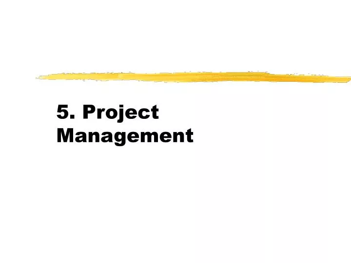 5 project management