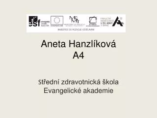 aneta hanzl kov a4