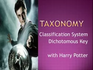 Taxonomy