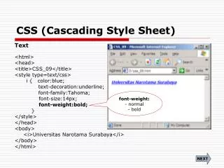 CSS (Cascading Style Sheet)