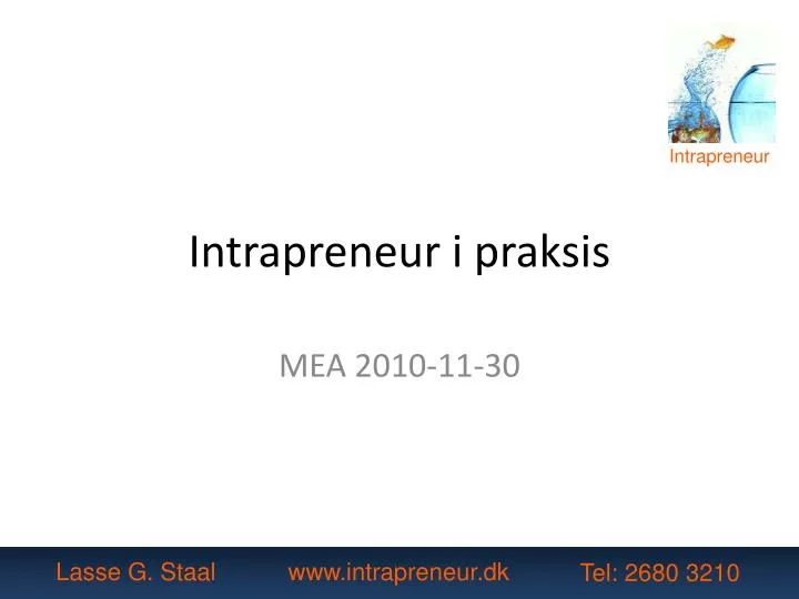 intrapreneur i praksis