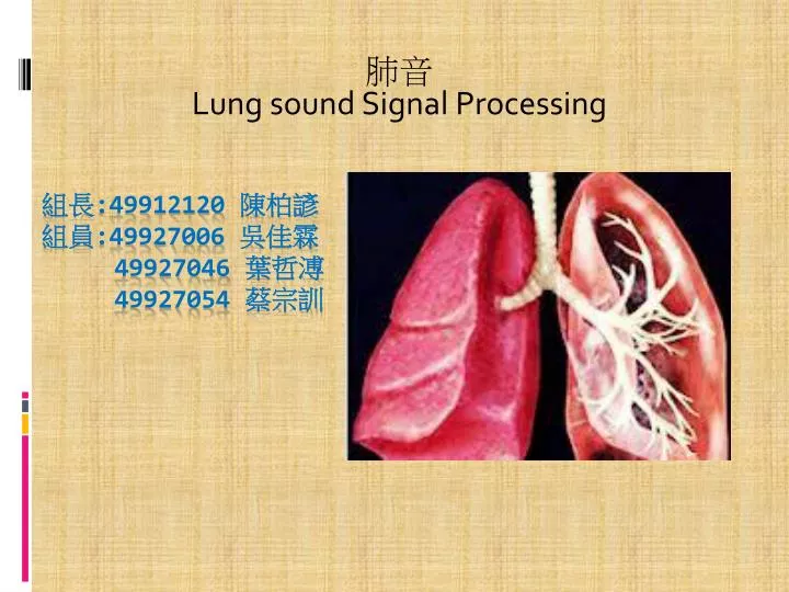 lung sound signal processing