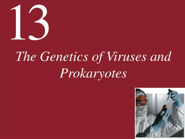 the genetics of viruses and prokaryotes